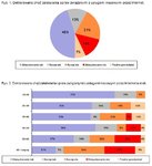 Polak 3.0: większość spraw przez Internet