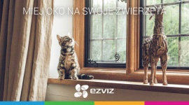 Zapewnij bezpieczeństwo swojemu futrzakowi LIFESTYLE, IT i technologie - Zapewnij bezpieczeństwo swojemu futrzakowi