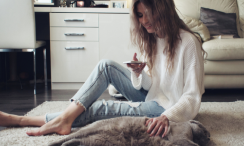 Technologie na straży czystości w domu ze zwierzakiem